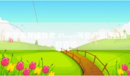 跟苹果死磕到底 iPhone6等新产品遭遇侵权官司