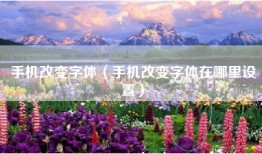 手机改变字体（手机改变字体在哪里设置）