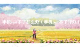 手机root不了怎么办(手机root不了咋办)
