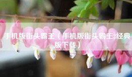 手机版街头霸王（手机版街头霸王2经典版下载）