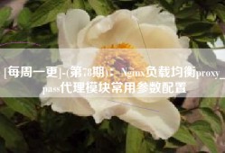 [每周一更]-(第78期)：Nginx负载均衡proxy_pass代理模块常用参数配置