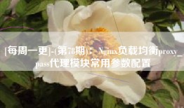 [每周一更]-(第78期)：Nginx负载均衡proxy_pass代理模块常用参数配置