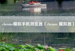 chrome模拟手机浏览器（chrome 模拟器）