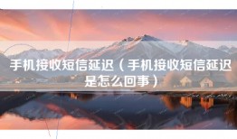 手机接收短信延迟（手机接收短信延迟是怎么回事）