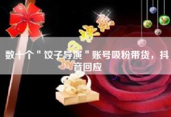 数十个＂饺子导演＂账号吸粉带货，抖音回应