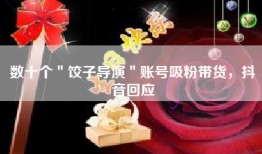 数十个＂饺子导演＂账号吸粉带货，抖音回应