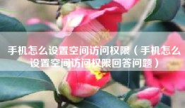手机怎么设置空间访问权限（手机怎么设置空间访问权限回答问题）