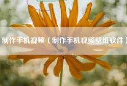 制作手机视频（制作手机视频壁纸软件）