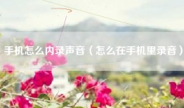 手机怎么内录声音（怎么在手机里录音）