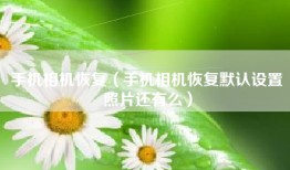 手机相机恢复（手机相机恢复默认设置照片还有么）