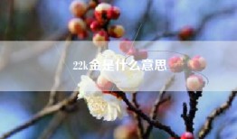 22k金是什么意思