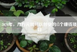 2024年，几万元就可以创业的15个赚钱项目
