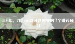 2024年，几万元就可以创业的15个赚钱项目