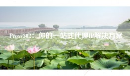 Proxy302：你的一站式代理IP解决方案