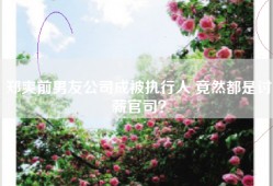 郑爽前男友公司成被执行人 竟然都是讨薪官司？