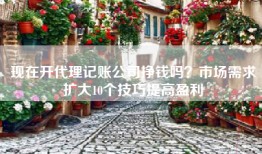现在开代理记账公司挣钱吗？市场需求扩大10个技巧提高盈利