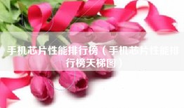 手机芯片性能排行榜（手机芯片性能排行榜天梯图）