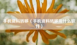 手机资料转移（手机资料转移用什么软件）