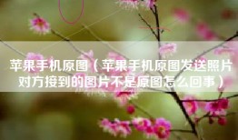 苹果手机原图（苹果手机原图发送照片对方接到的图片不是原图怎么回事）
