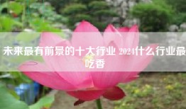 未来最有前景的十大行业 2024什么行业最吃香