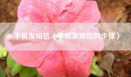 手机发短信（手机发短信的步骤）