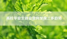 高校毕业生就业意向呈现三多趋势