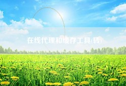 在线代理和缓存工具(转)
