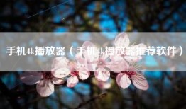 手机4k播放器（手机4k播放器推荐软件）