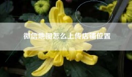 微信地图怎么上传店铺位置