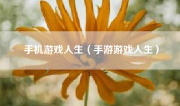 手机游戏人生（手游游戏人生）