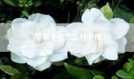 苹果手机怎么开卡槽