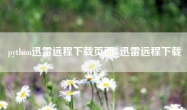 python迅雷远程下载页面_迅雷远程下载