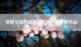 非遗文化的意思，非遗的意思是什么