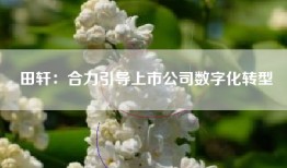 田轩：合力引导上市公司数字化转型