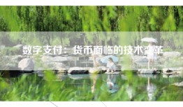 数字支付：货币面临的技术变革