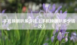 手机换喇叭多少钱（手机换喇叭多少钱一次）