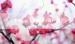手机mud（手机MUD客户端）