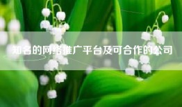 知名的网络推广平台及可合作的公司