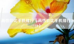 高性价比手机排行（高性价比手机排行2024）