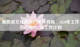 衡阳县文化旅游广电体育局​2020年工作总结和2021年工作计划
