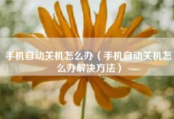 手机自动关机怎么办（手机自动关机怎么办解决方法）