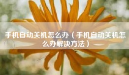 手机自动关机怎么办（手机自动关机怎么办解决方法）