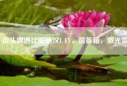 街头偶遇比亚迪汉L EV，前备箱，激光雷