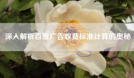 深入解析百度广告收费标准计算的奥秘