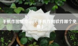 手机作图软件app（手机作图软件哪个免费）