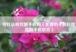 可以远程控制手机吗（免费的手机远程控制手机软件）