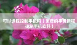 可以远程控制手机吗(免费的手机远程控制手机软件)