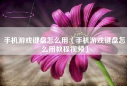手机游戏键盘怎么用（手机游戏键盘怎么用教程视频）