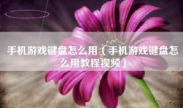 手机游戏键盘怎么用(手机游戏键盘怎么用教程视频)
