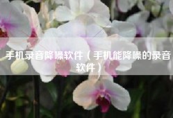 手机录音降噪软件（手机能降噪的录音软件）